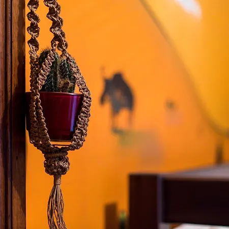 The Monk's Bunk *