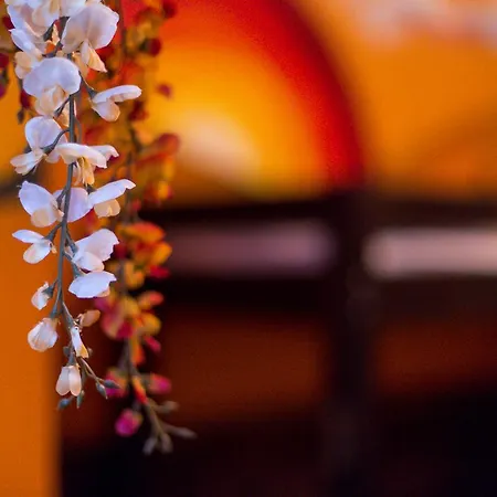 The Monk's Bunk 旅馆