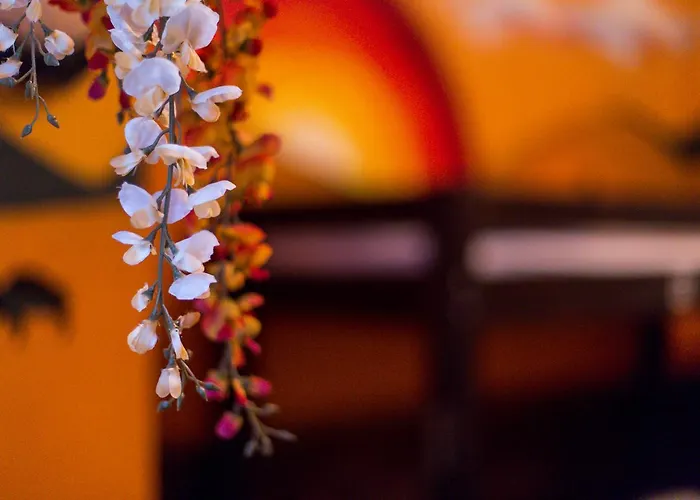 The Monk's Bunk 旅馆